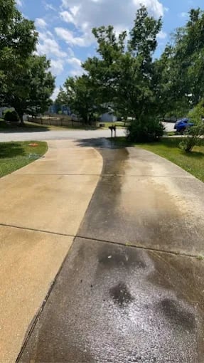 Wet concrete driveway with trees and shadow on a sunny day